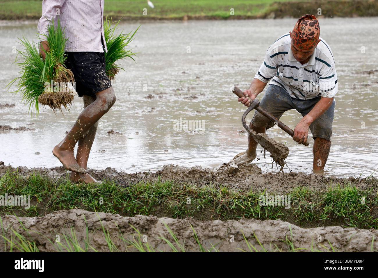 Lalitpur, Nepal. 29th June, 2025. On June 29, 2025, in Lalitpur, Nepal ...