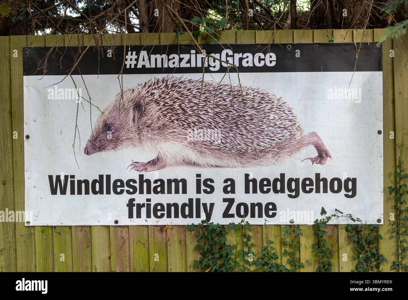 Banner by Harper Asprey Wildlife Rescue -  Project Amazing Grace - Windlesham is a hedgehog friendly zone, sign in Windlesham, Surrey, England, UK Stock Photo