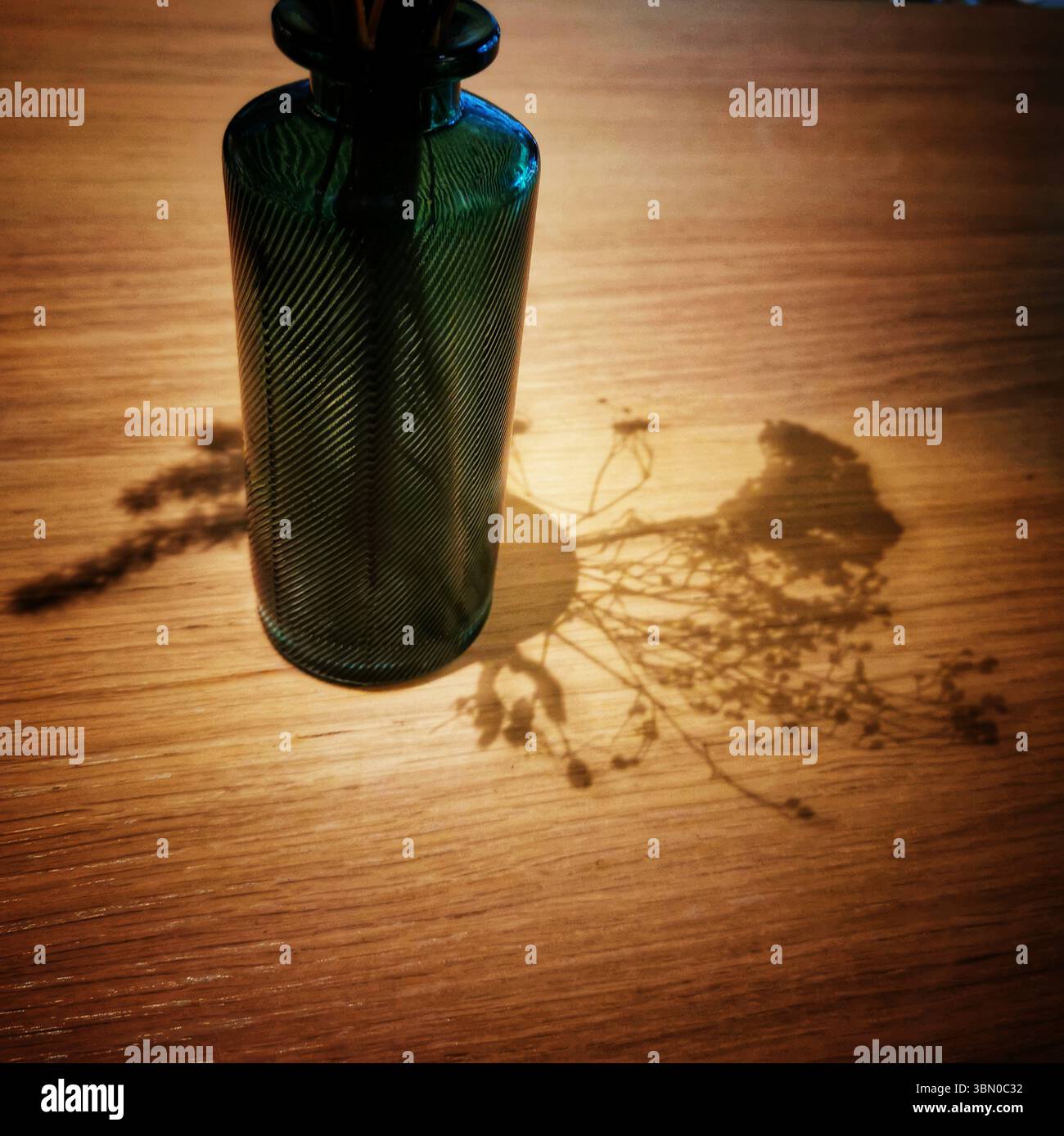 A green glass vase sits on a wooden table, with delicate dried flowers casting intricate shadows. Warm afternoon light enhances the natural beauty of - Smartphone Captured Stock Image