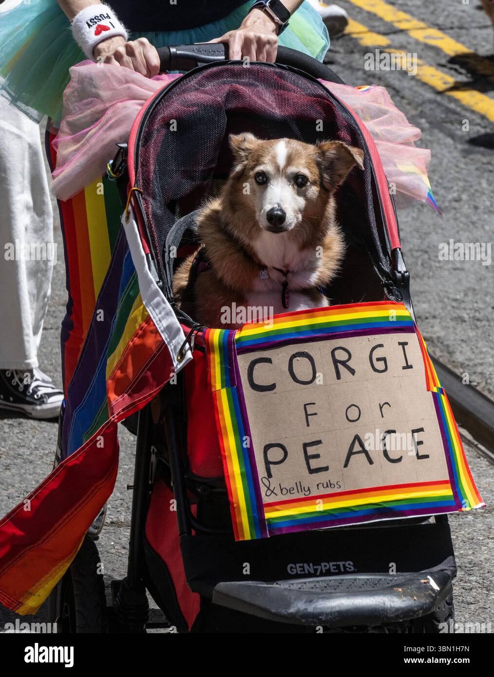 San Francisco, United States. 29th June, 2025. A Corgi for Peace is ...