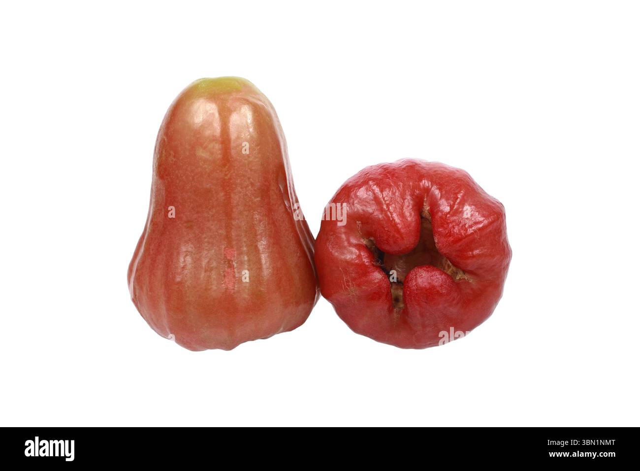 It is Two rose apples isolated on white. Stock Photo