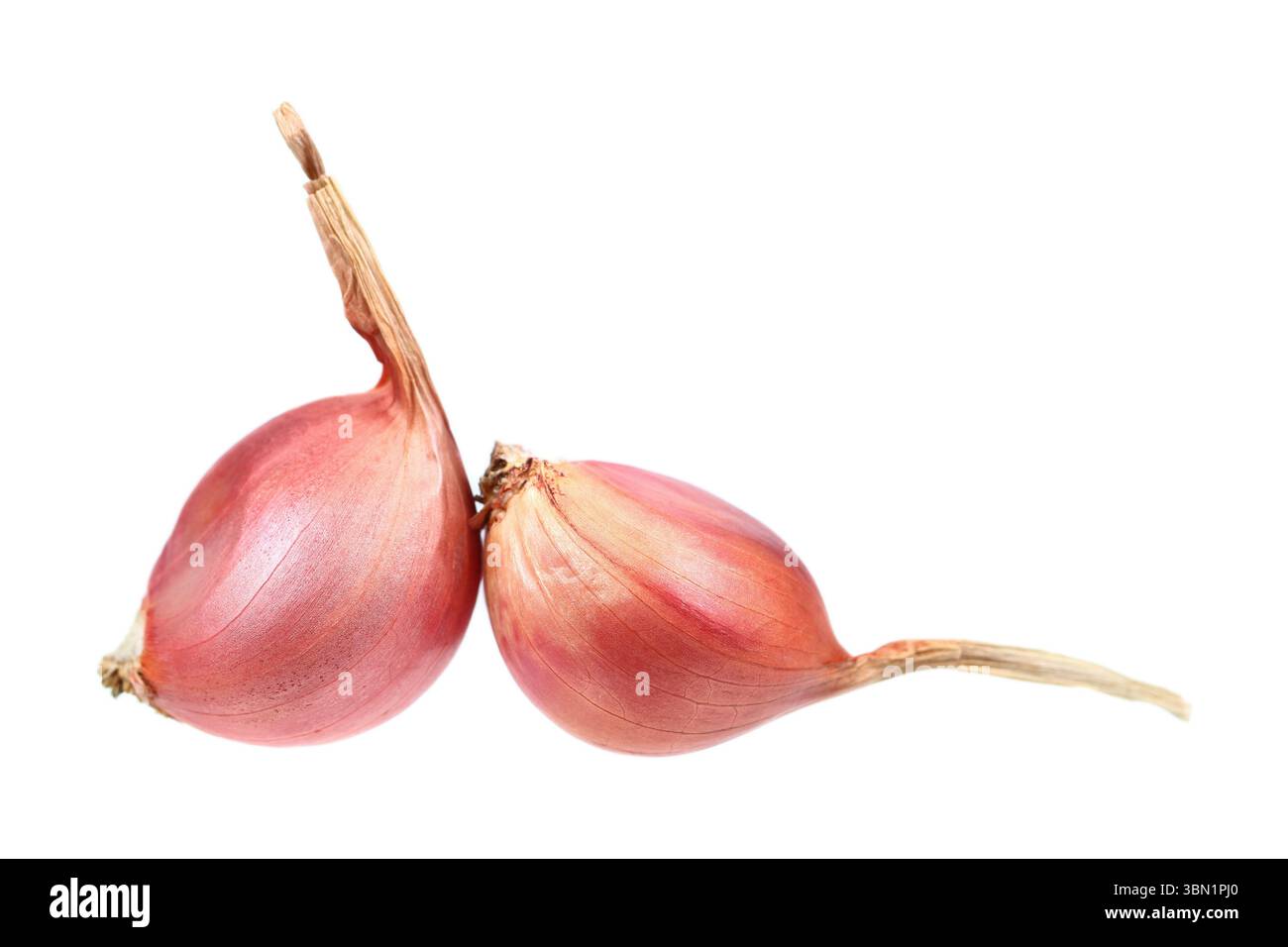 it is two shallots isolated on white. Stock Photo