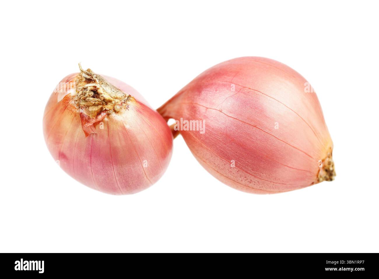 it is two shallots isolated on white. Stock Photo