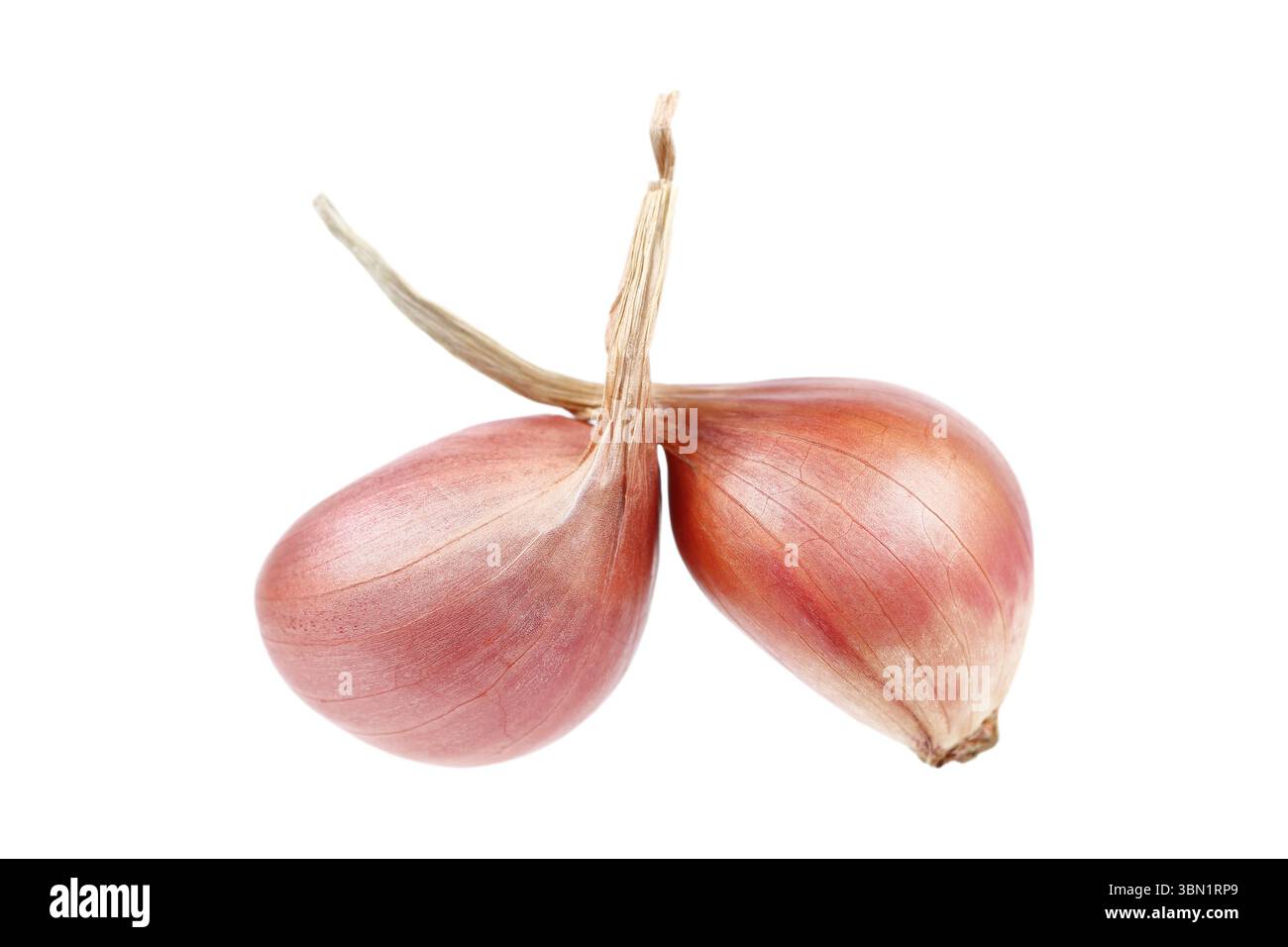 it is two shallots isolated on white. Stock Photo