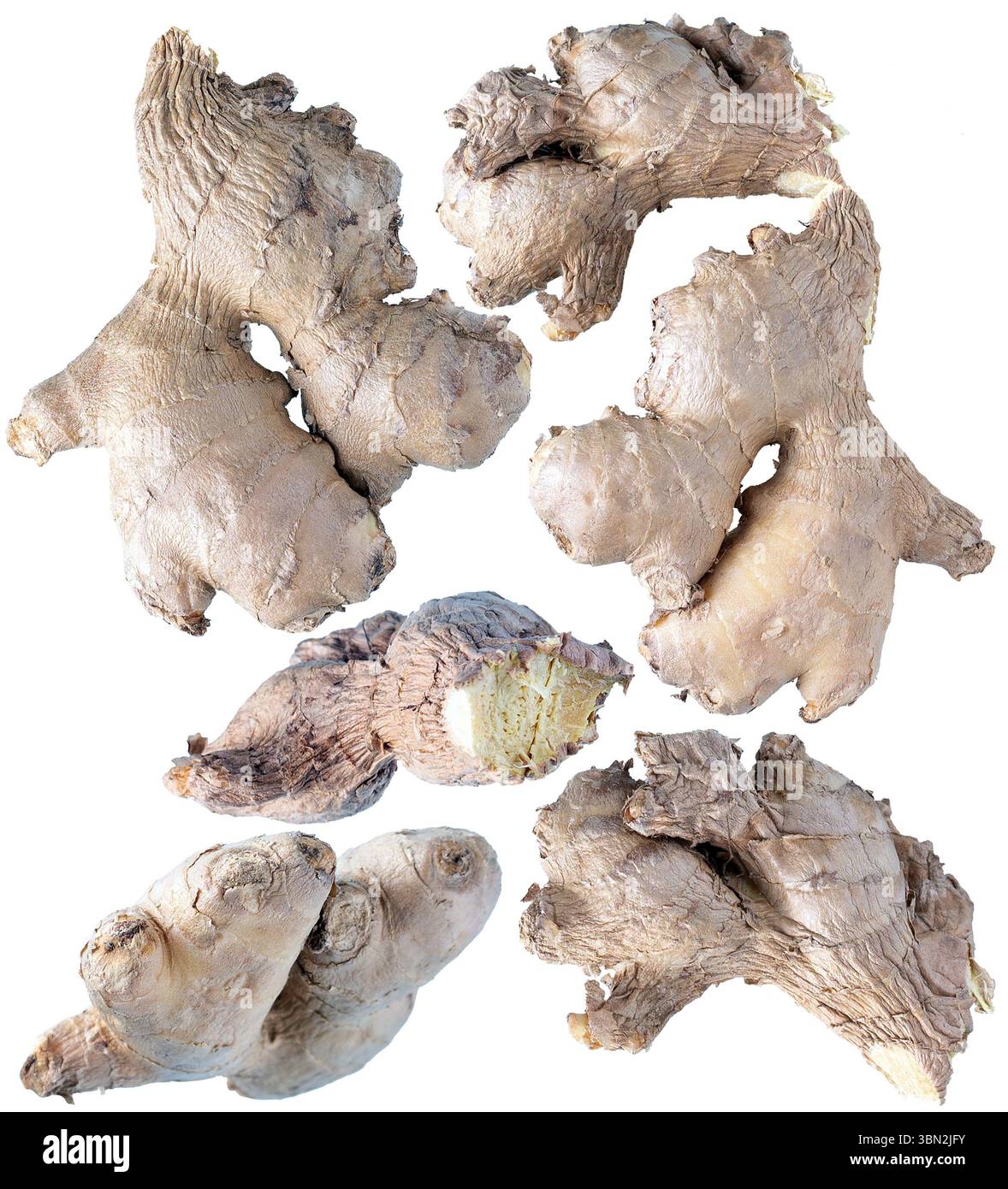 Ginger Family Roots Ginger roots on white background Stock Photo - Alamy