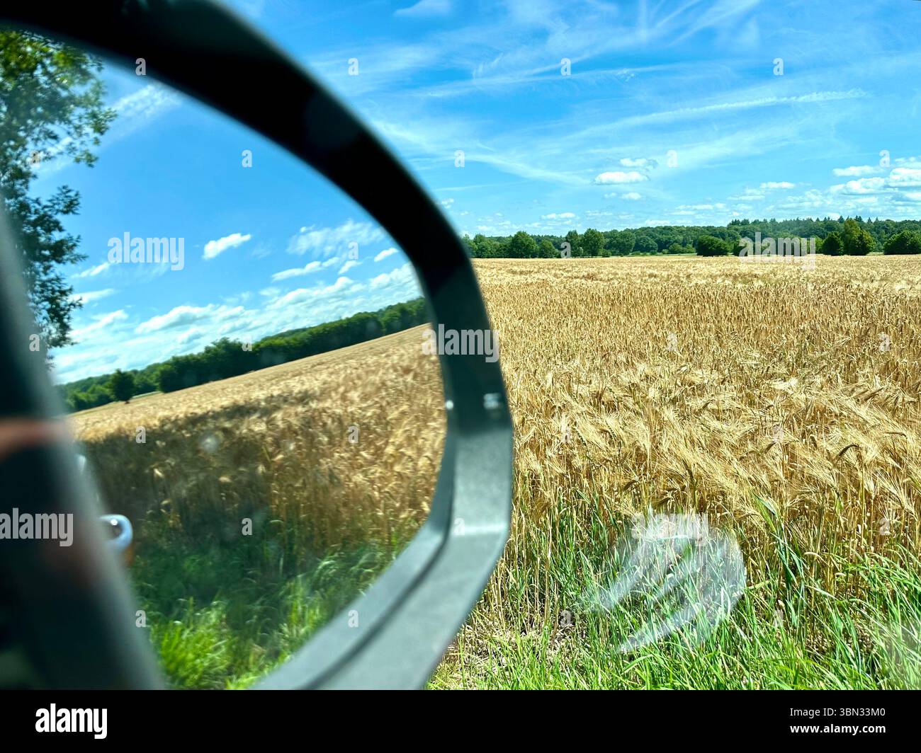 A view from the side-vision mirror of a car showing a wheat field - Smartphone Captured Stock Image