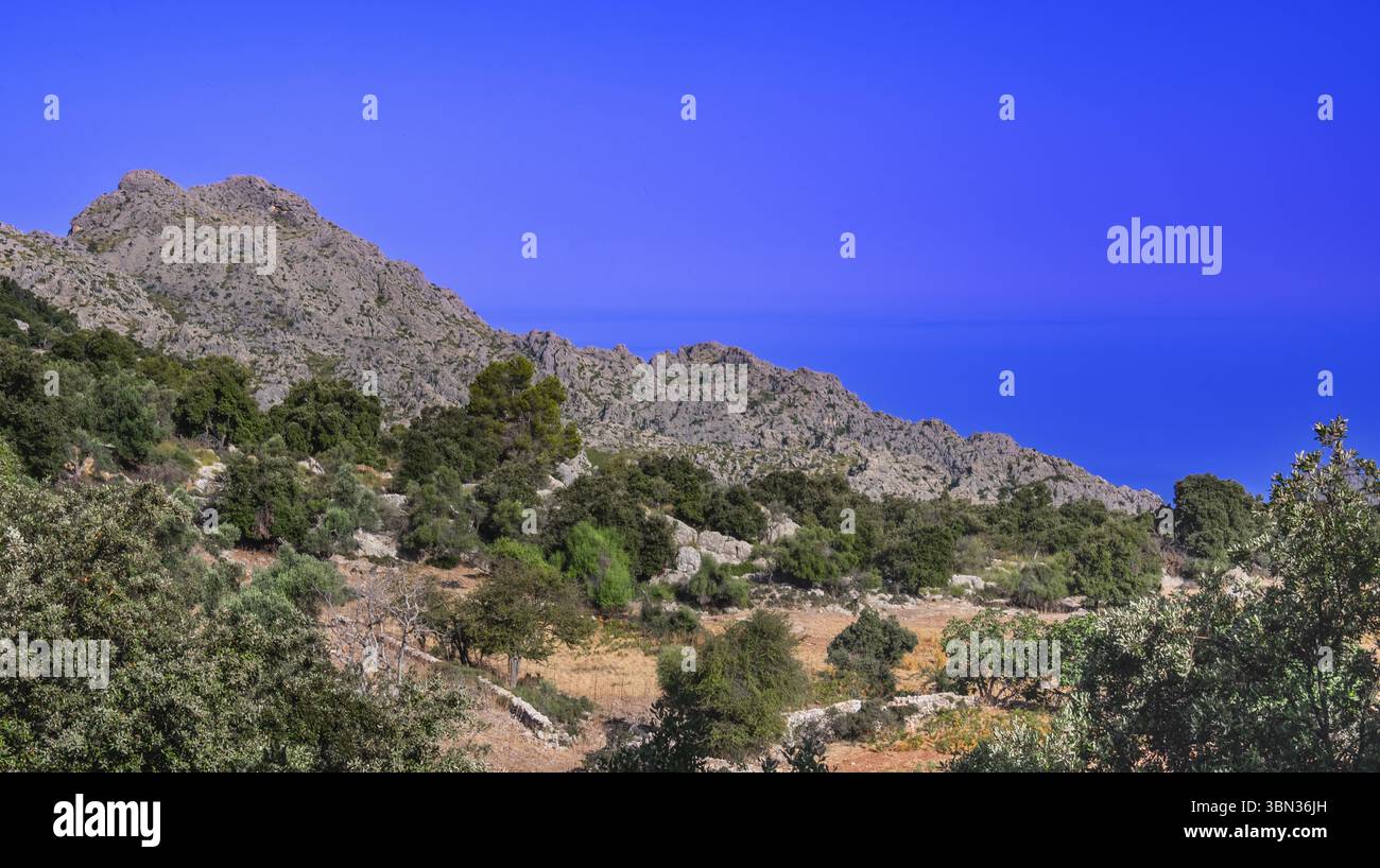 Paraje Natural de la Sierra de Tramuntana, UNESCO World Heritage Site, Mallorca, Islas Baleares, Spain, Europe Stock Photo
