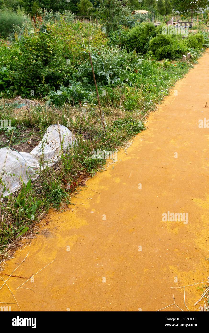 Sale❗️リリパットレーン429☆GRANTCHESTER MEDOWS Grantchester meadows hi-res stock photography and images - Alamy