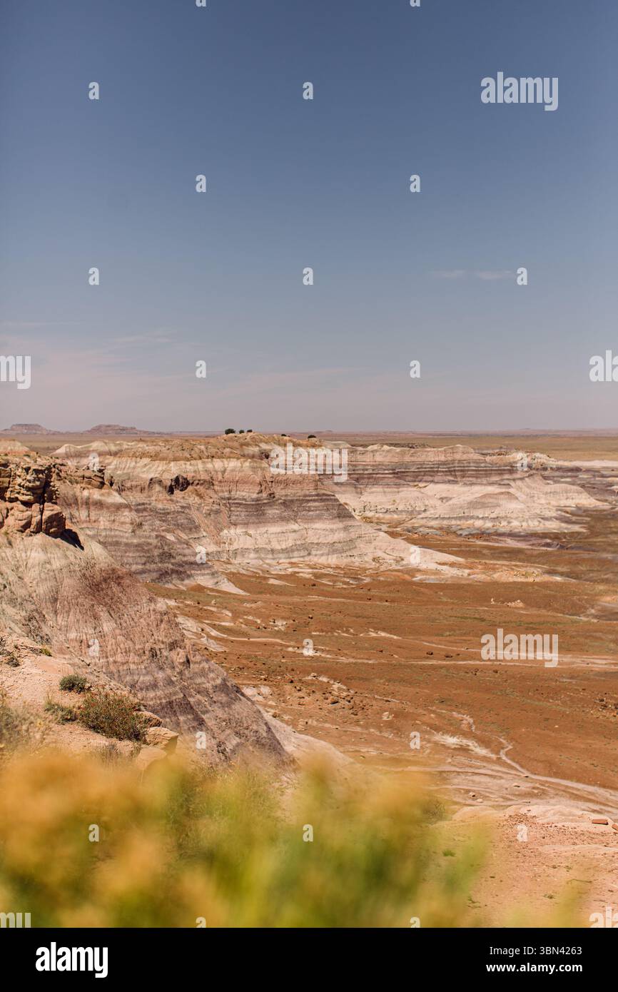 Fossils sedimentary rock hi-res stock photography and images - Alamy