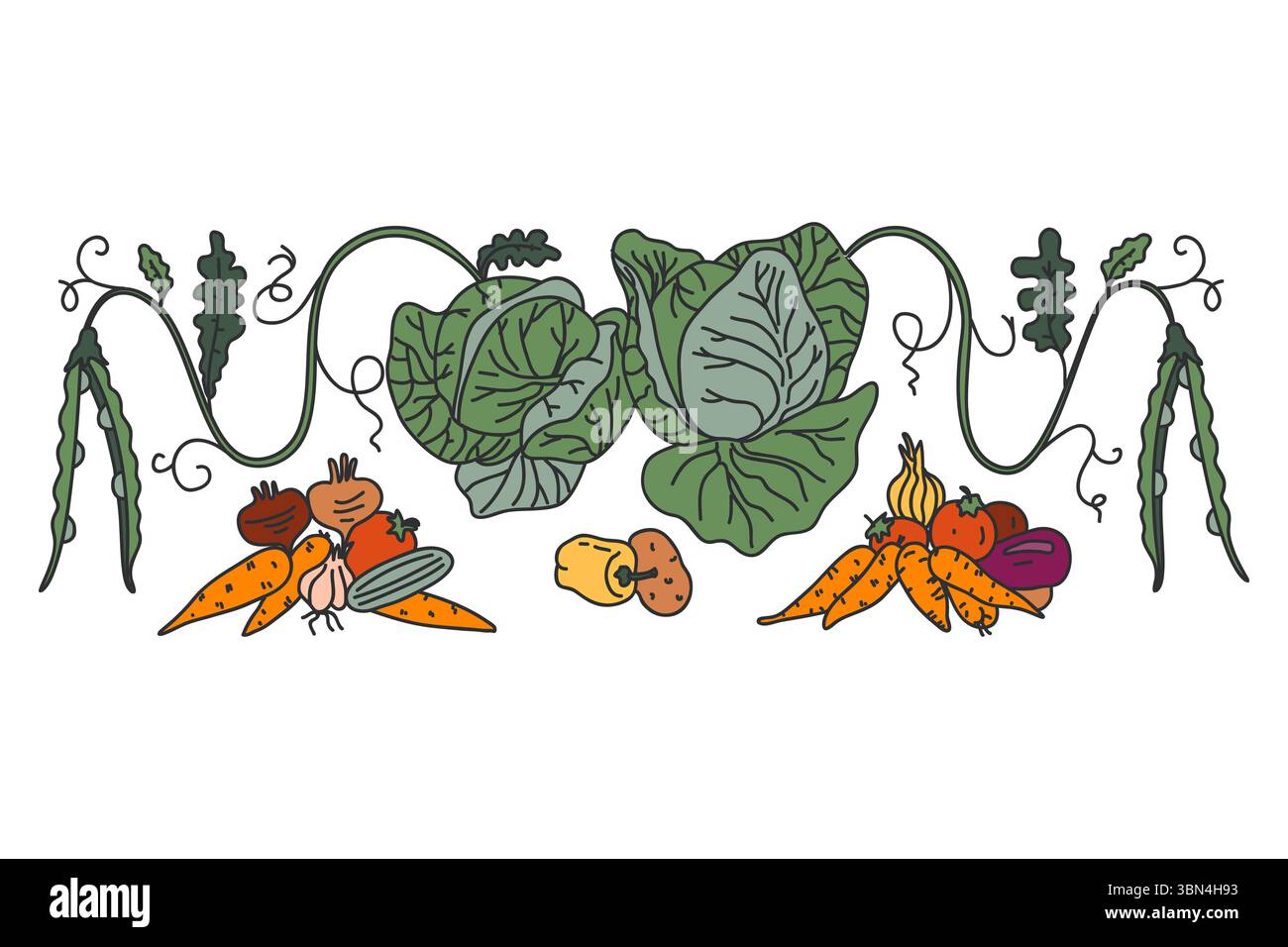Botanical Border Roots Botanical decorative different vegetables horizontal border pattern ...