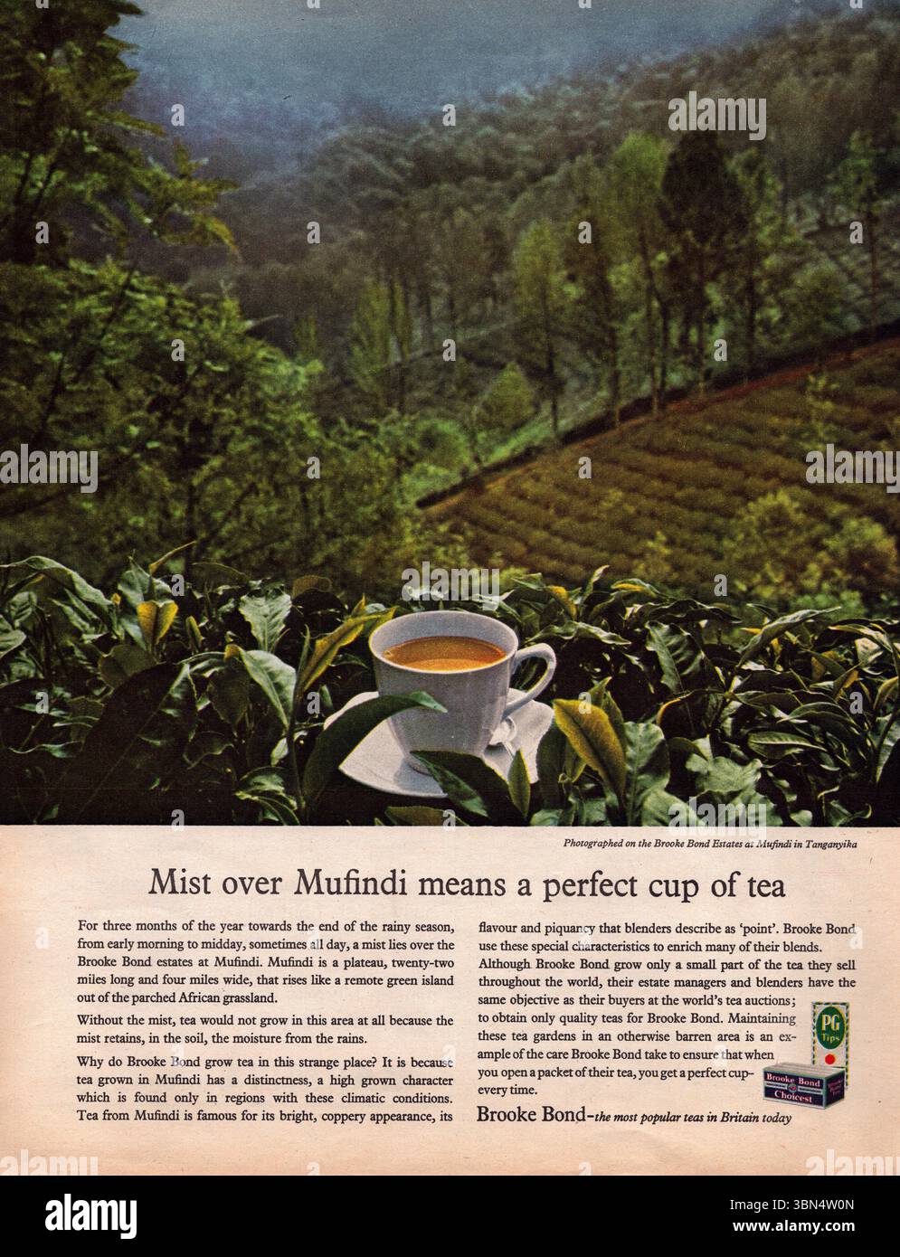1960s cup of tea hi-res stock photography and images - Alamy