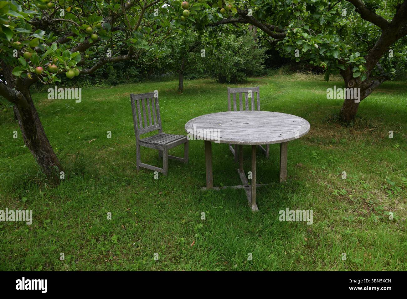 Seating in the orchard Stock Photo
