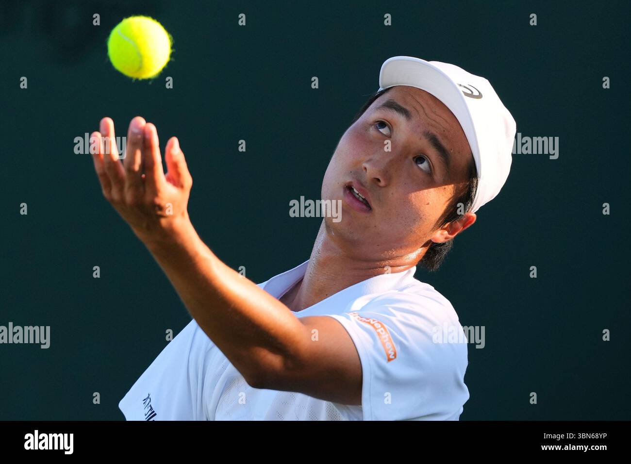 Who Is Shintaro Mochizuki? Who Is Shintaro Mochizuki?