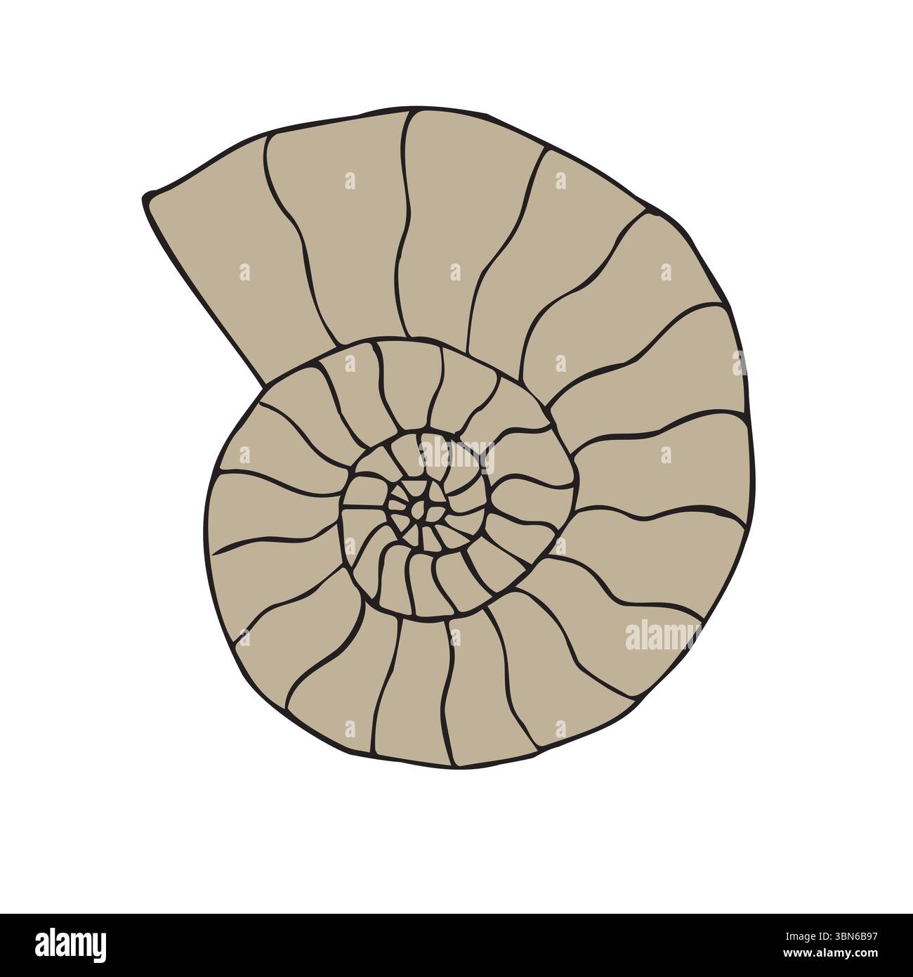 Vector hand drawn sketch doodle colored ammonite Stock Vector