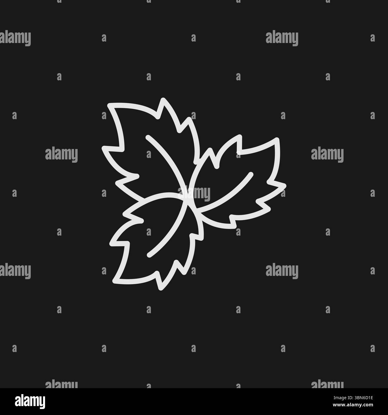 Fresh Mint and Basil Herb Icon for Tea, Mojitos, and Culinary Seasoning Stock Vector