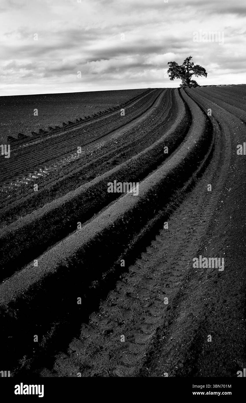 Cultivate earth Black and White Stock Photos & Images - Alamy