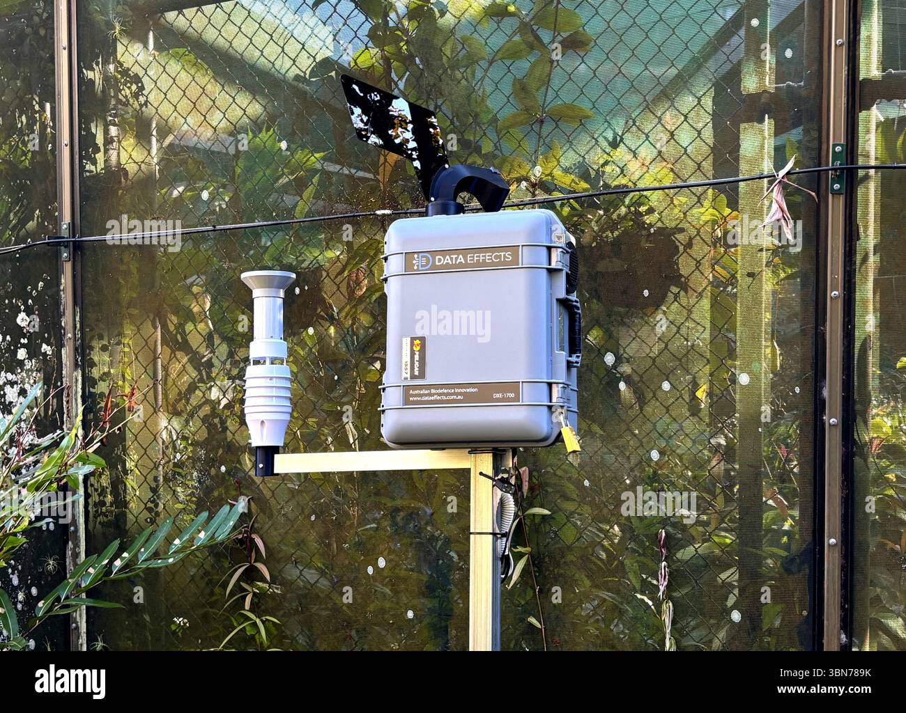 Environmental data being collected for biosecurity assessment, Flecker Botanic Gardens, Cairns, Queensland, Australia. No PR - Smartphone Captured Stock Image