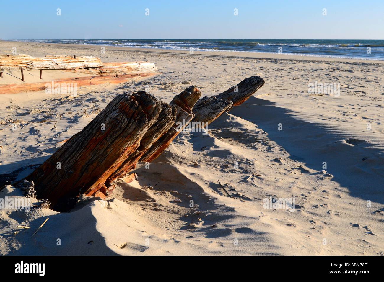 The wood skeleton, poking through the sands of the beach, are the remnants of a shipwreck washed ashore on the Outer Banks of North Carolina Stock Photo