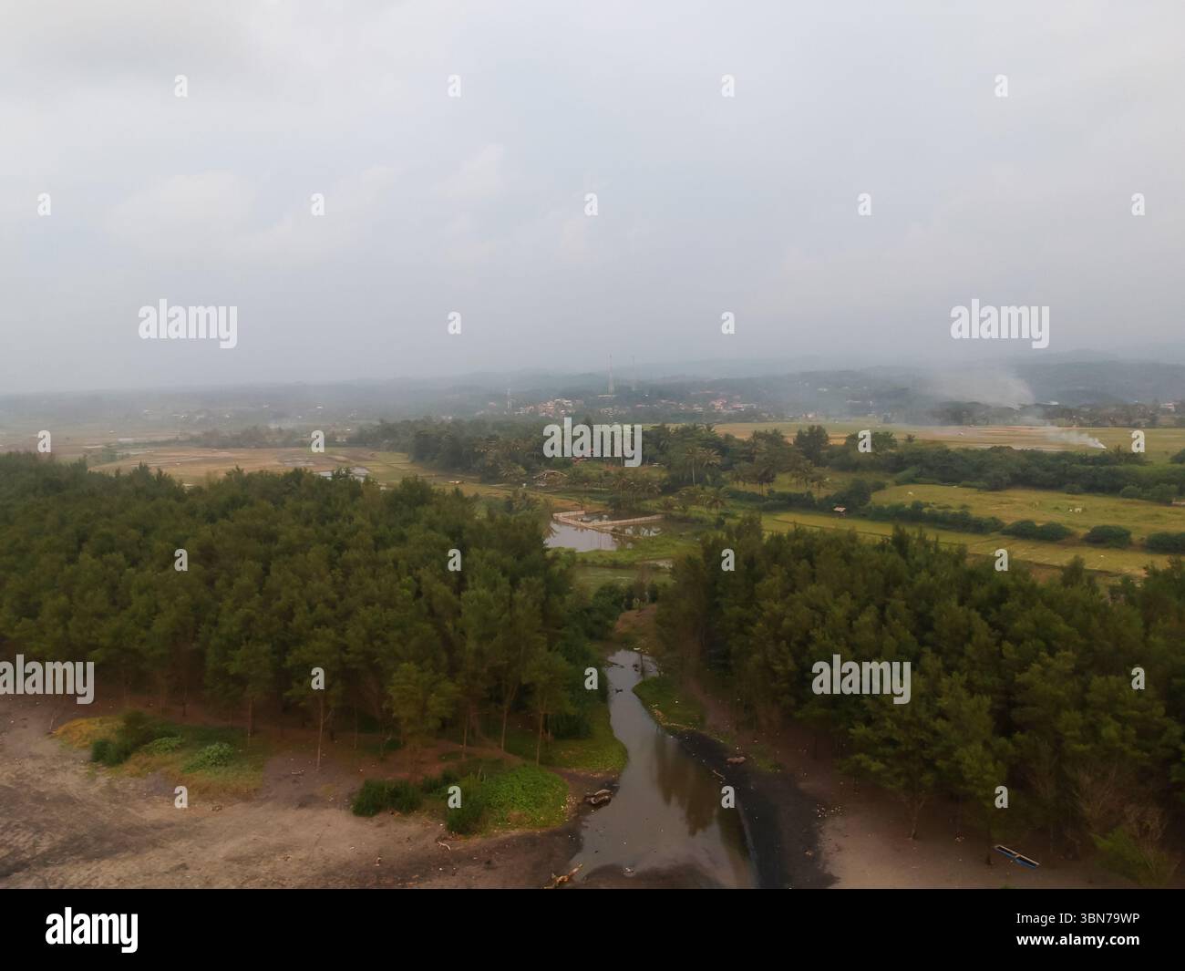 aerial view of rice fields after harvest Stock Photo - Alamy