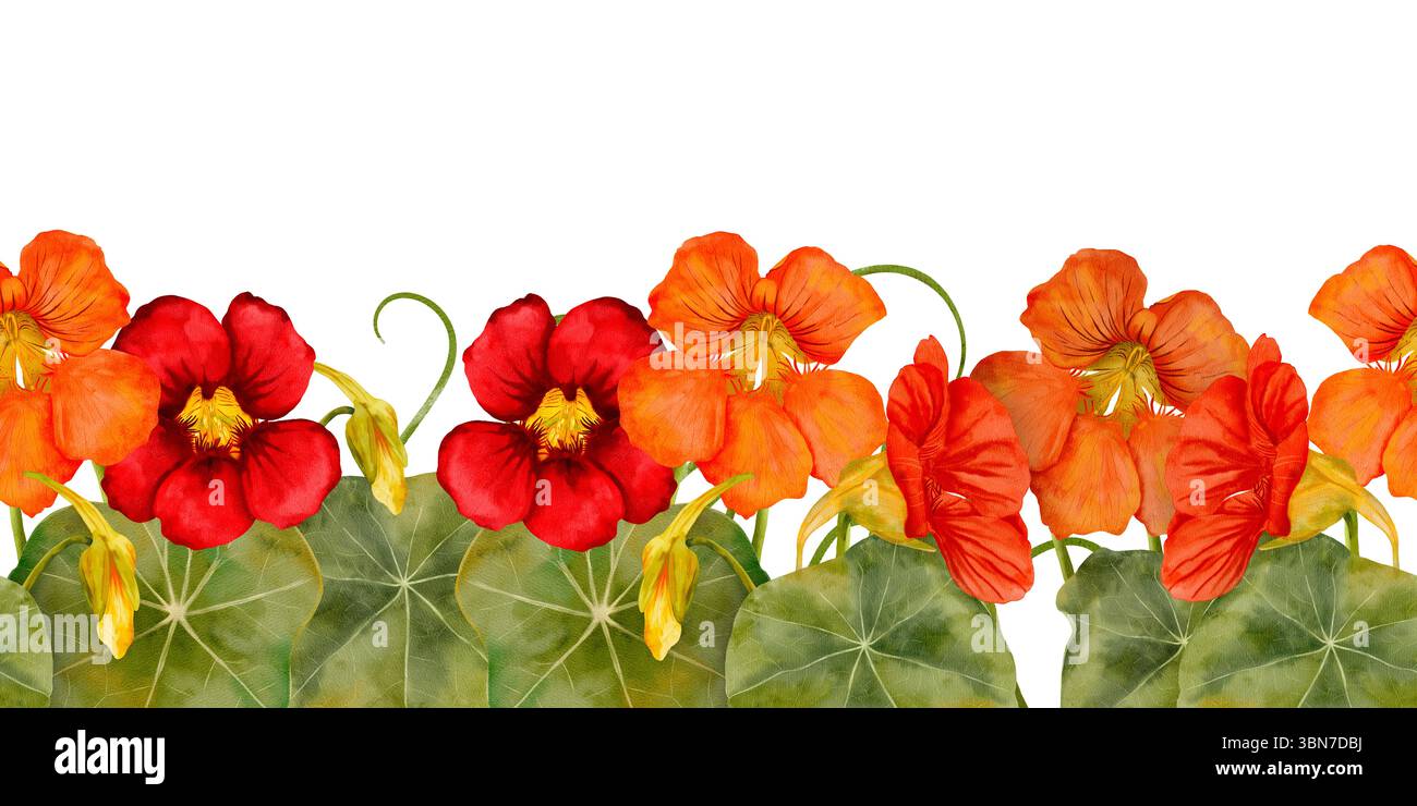 Image result for A stunningly beautiful border adorned with vibrant red and orange ...
