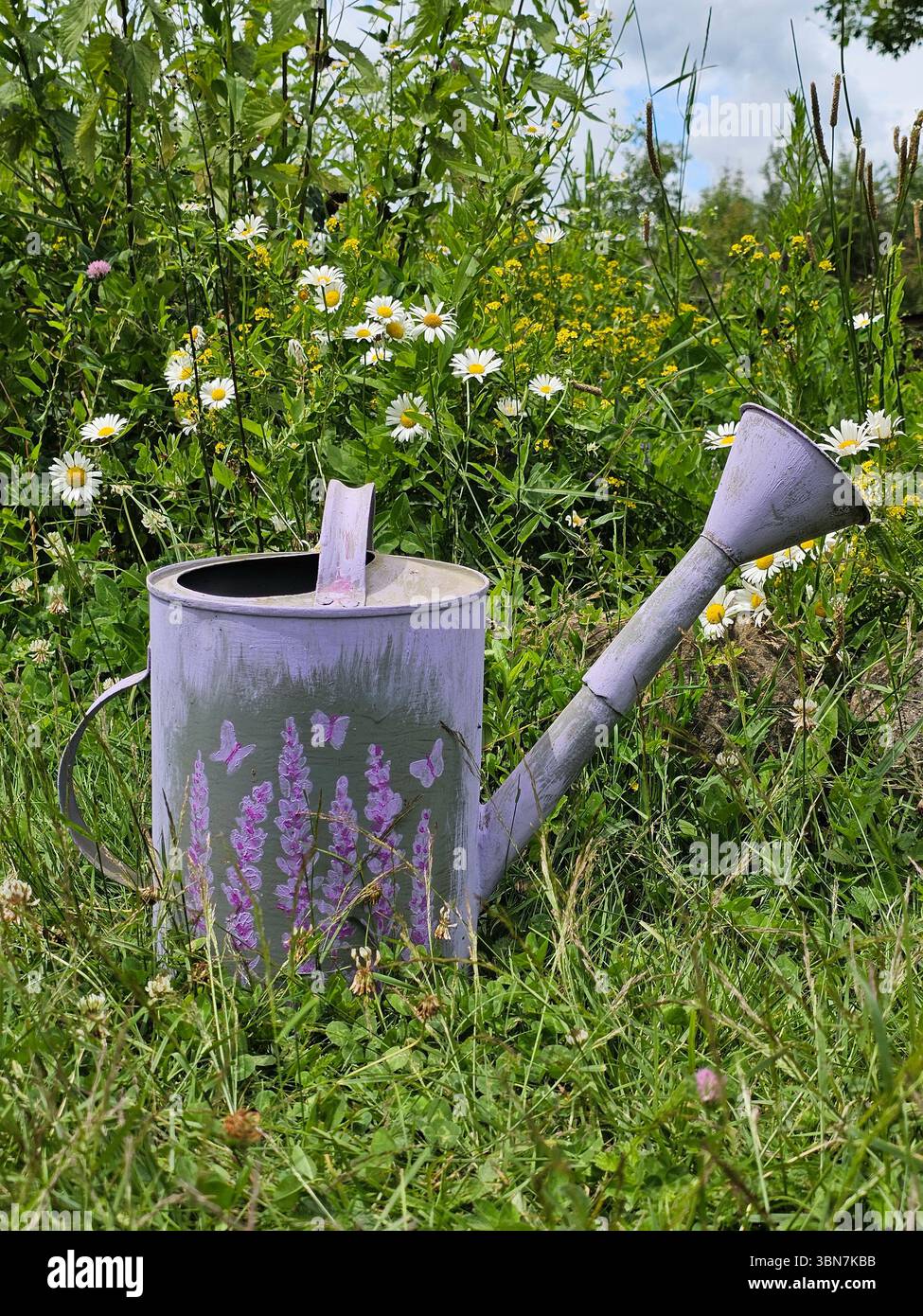 Garden iron watering can near a flower bed Stock Photo - Alamy