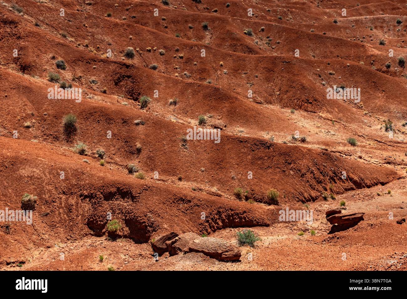 Ridges on a hillside tell a story of long term erosion in a very dry ...