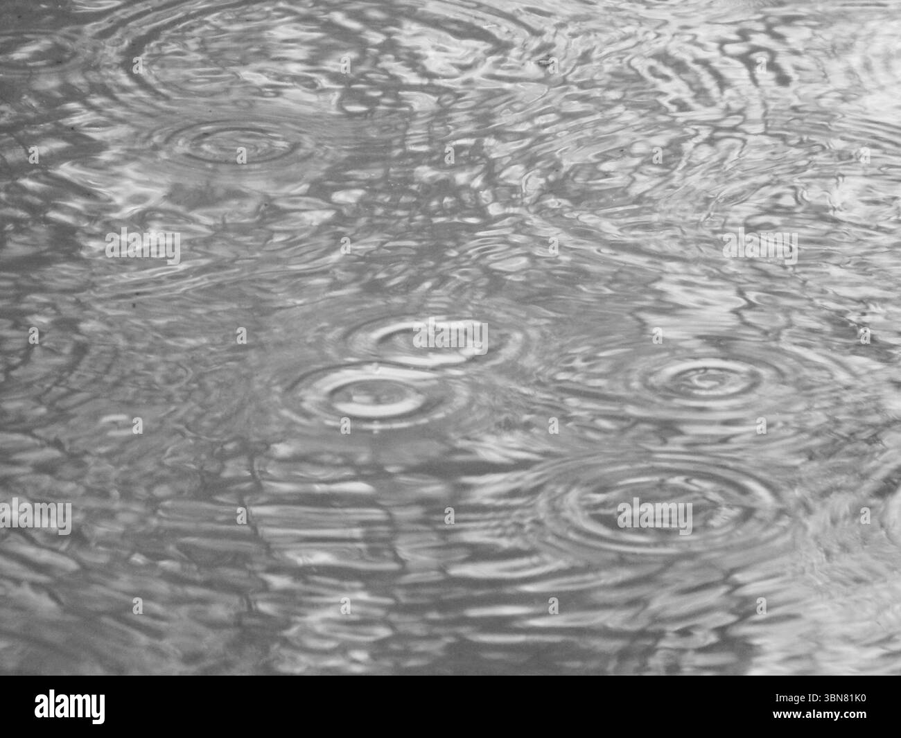 Close-up of raindrops falling into water Stock Photo