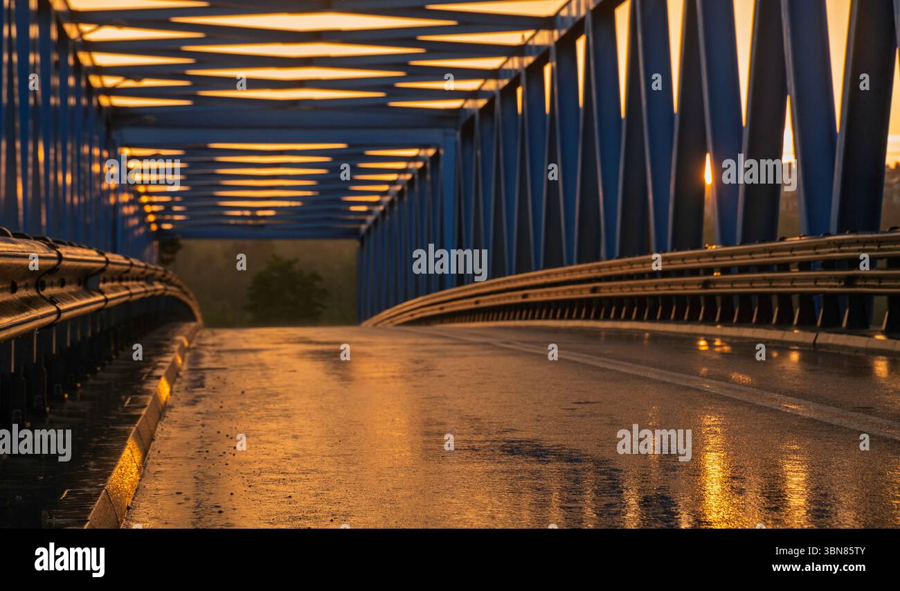 transportation; asphalt; wet; nature; road; landscape; rain ...