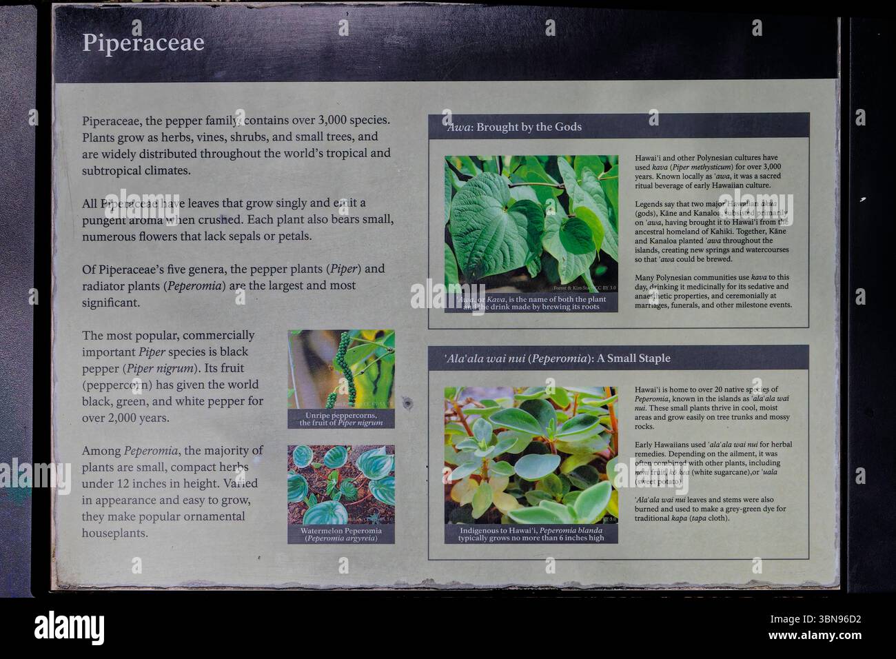 Hawaii, USA Stock Photo