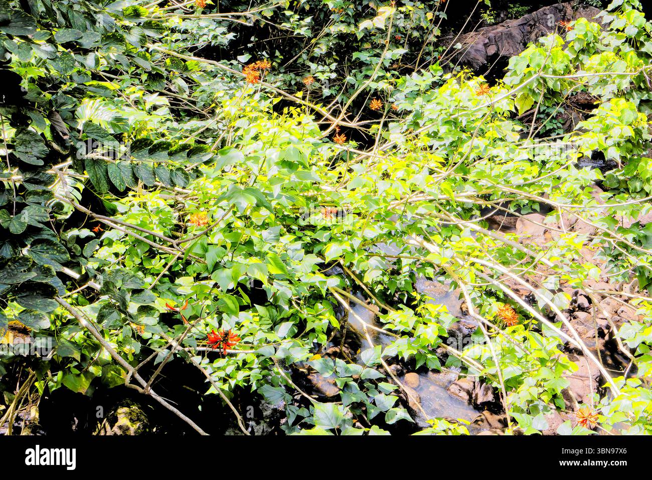 Hawaii, USA Stock Photo