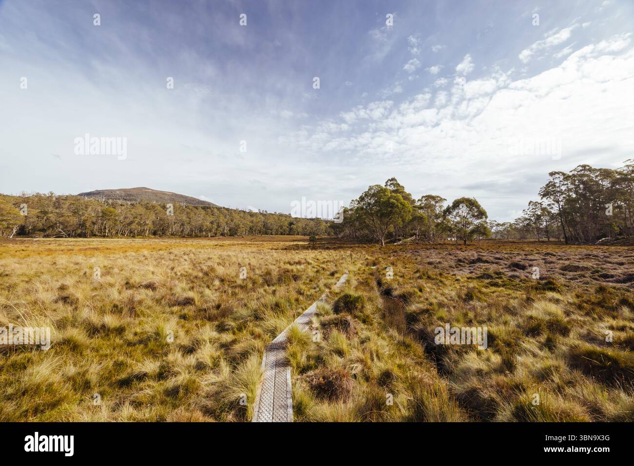 Arm River Track in Tasmania Australia Stock Photo - Alamy