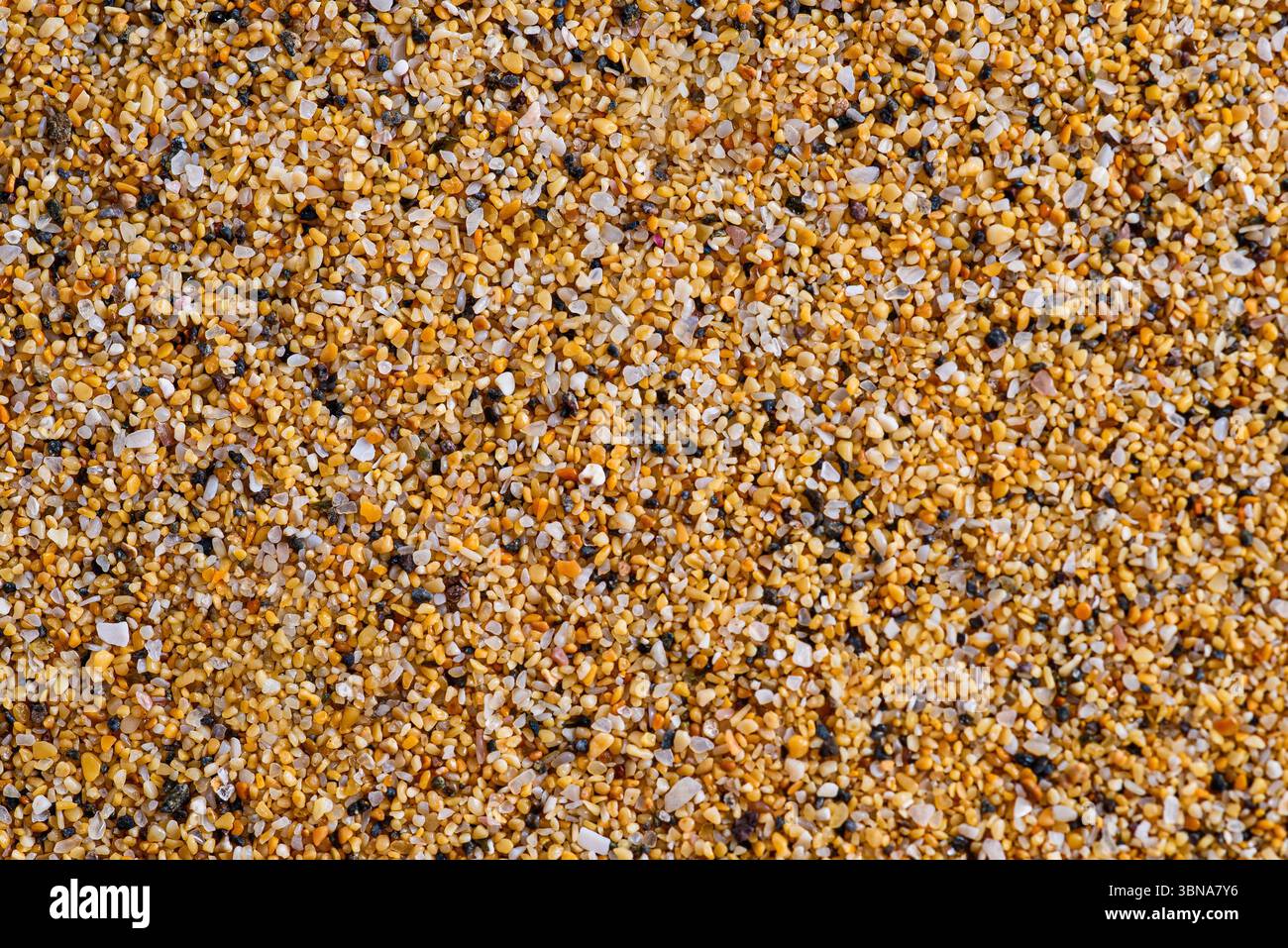 Sand on the beach of Porto Santo Backgroud Stock Photo