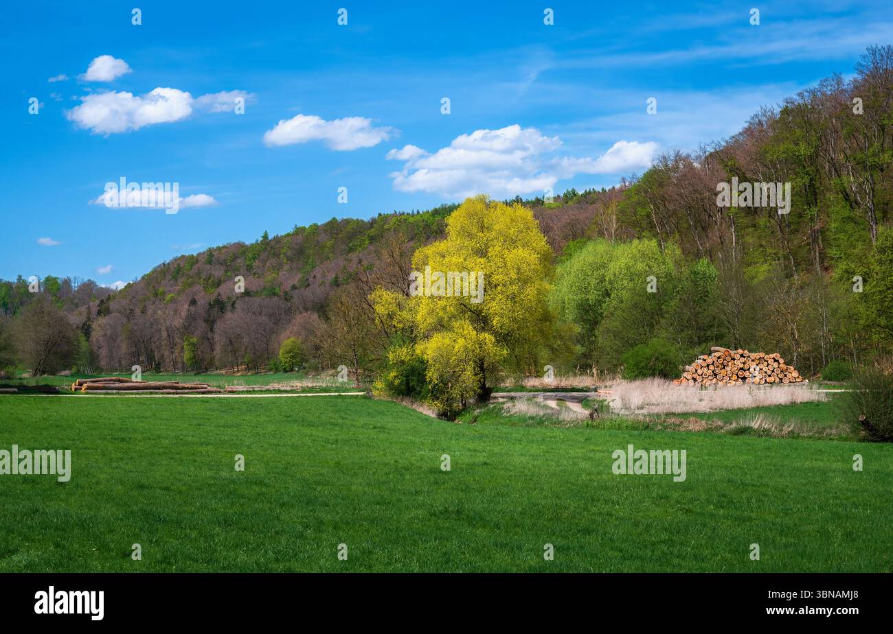 Idyllic landscape in the Shtuttertal valey near Neuburg Stock Photo