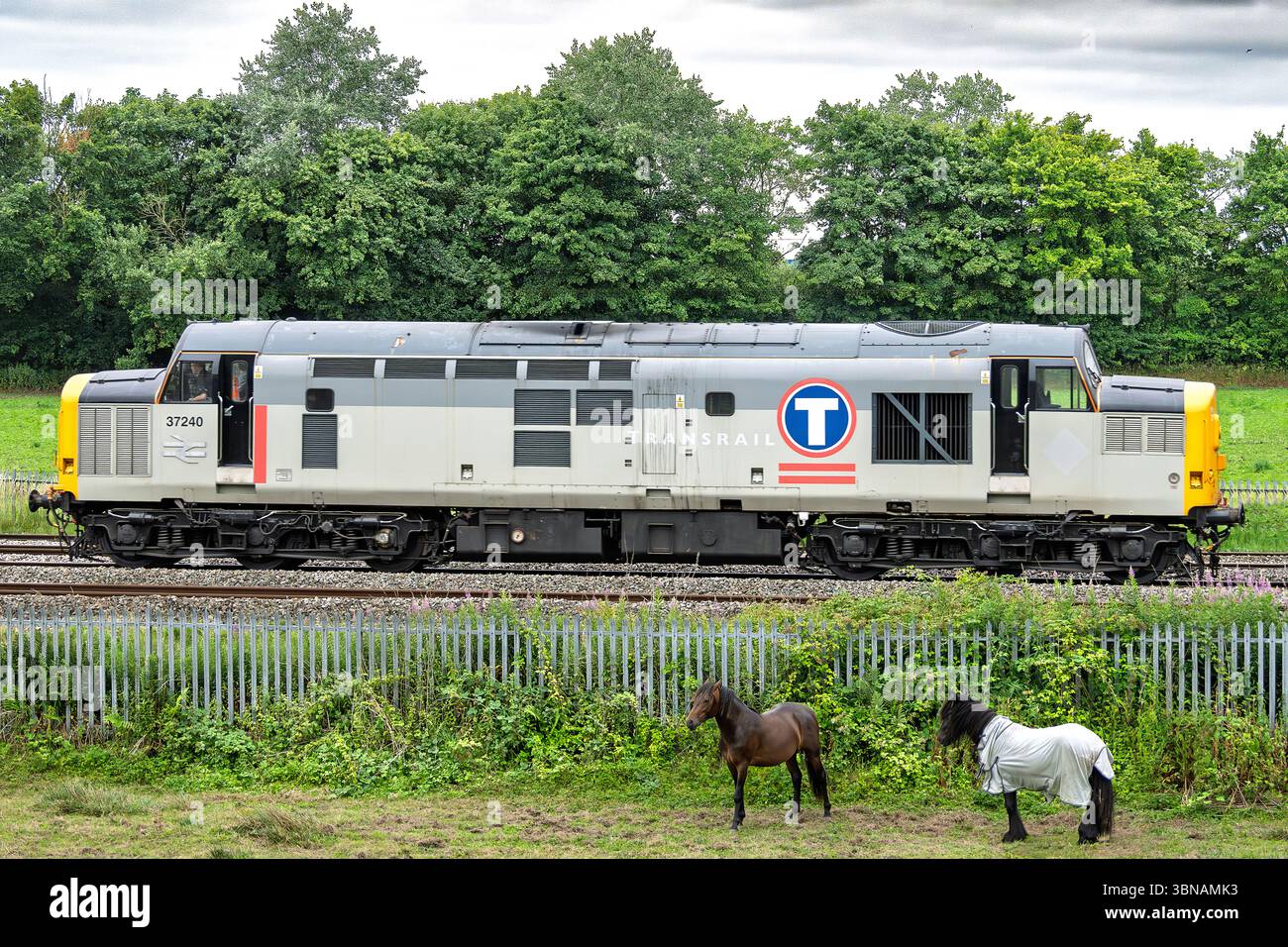 Class 37240 hi-res stock photography and images - Alamy