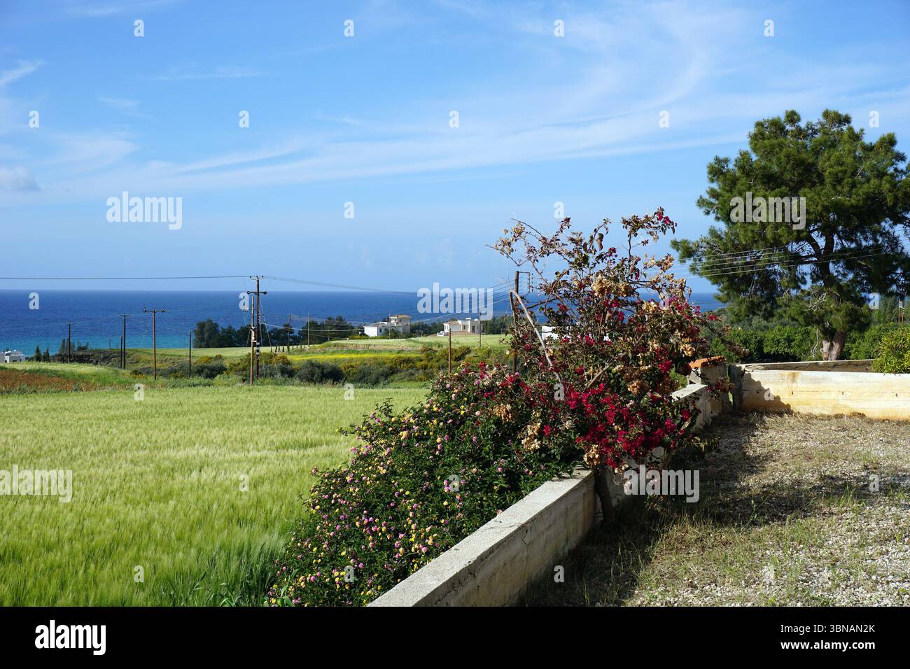 Argaka, Cyprus, A serene rural landscape with a clear blue sky and a ...