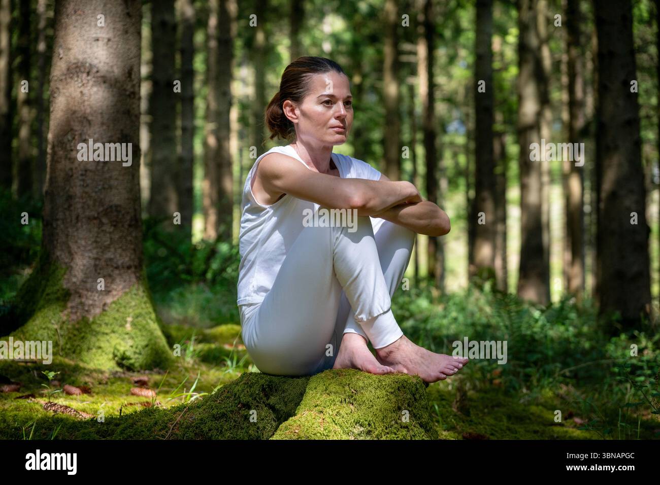 Woman in nature sitting on moss tree stump in a forest setting Stock Photo