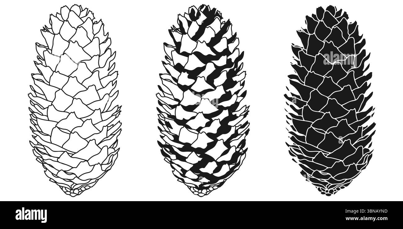 Pine Fir Tree Cone Outline Silhouette Stencil Stock Vector