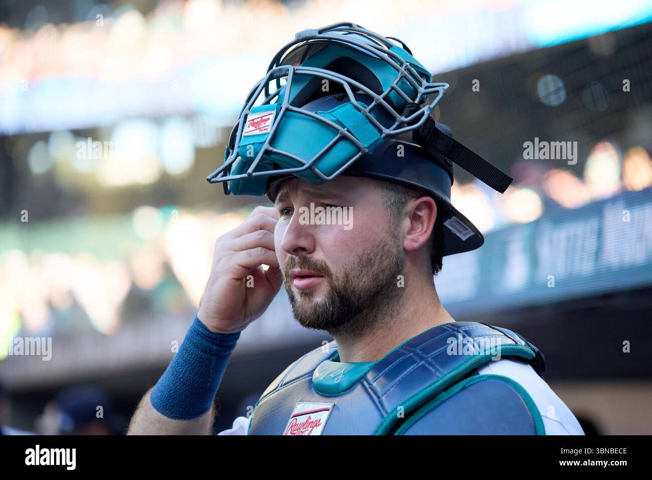 Seattle Mariners catcher Cal Raleigh prepares for a baseball game ...