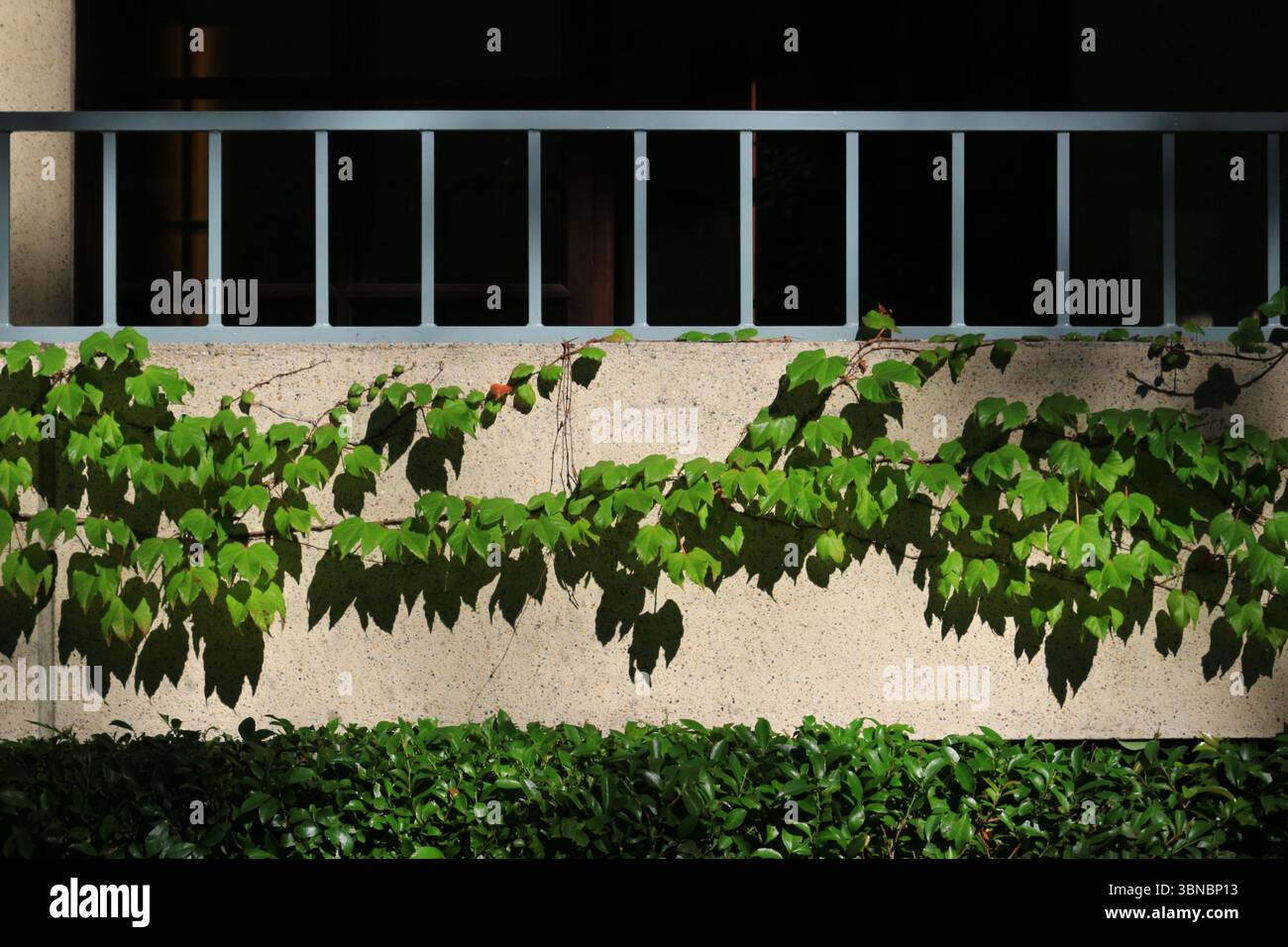 Picture of 84,210 Stock Photo Office Buildings With Retail Space On ... - Shutterstock