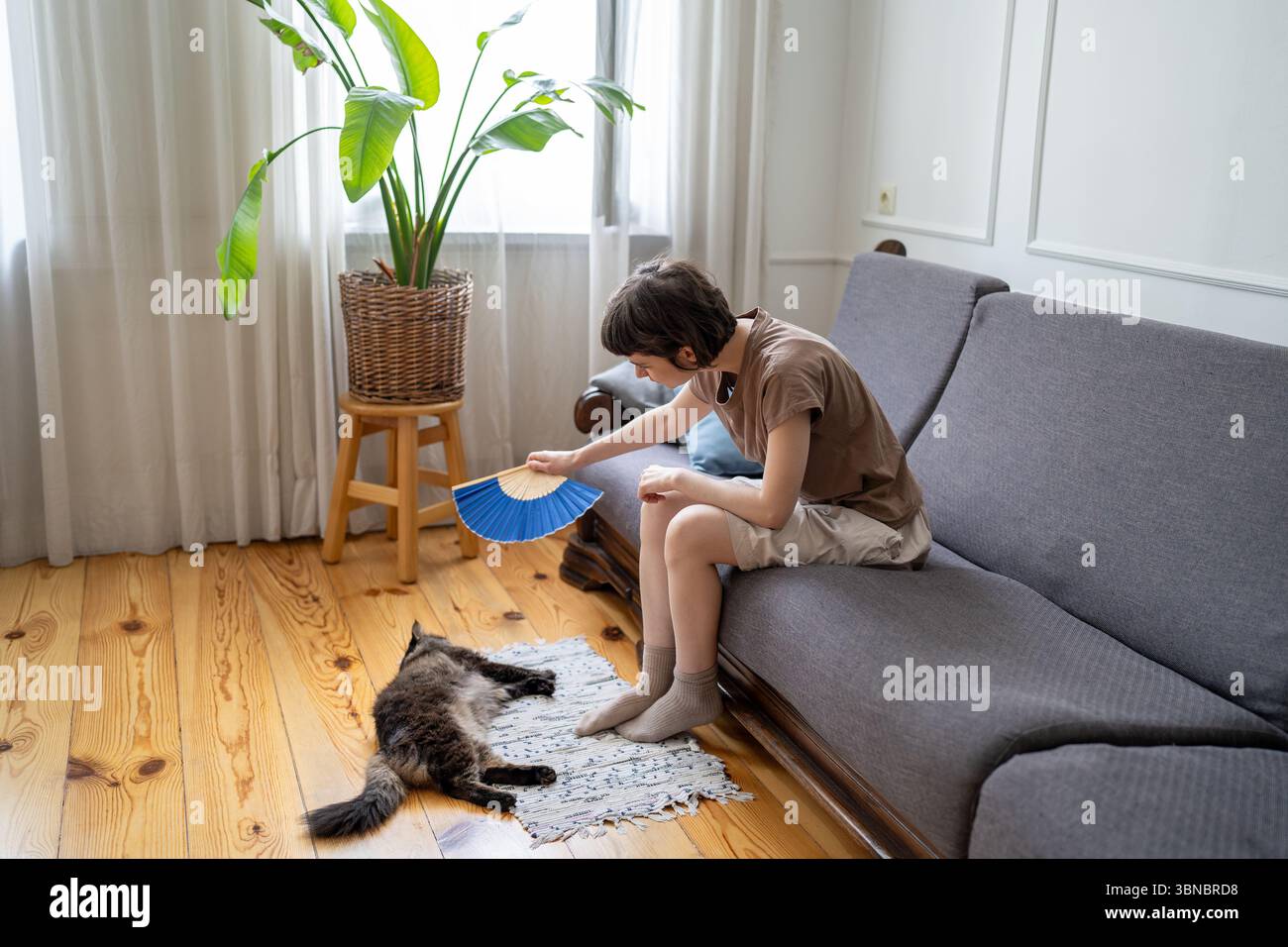 Caring woman pet owner gently fanning cat curling on floor to ease heat ...