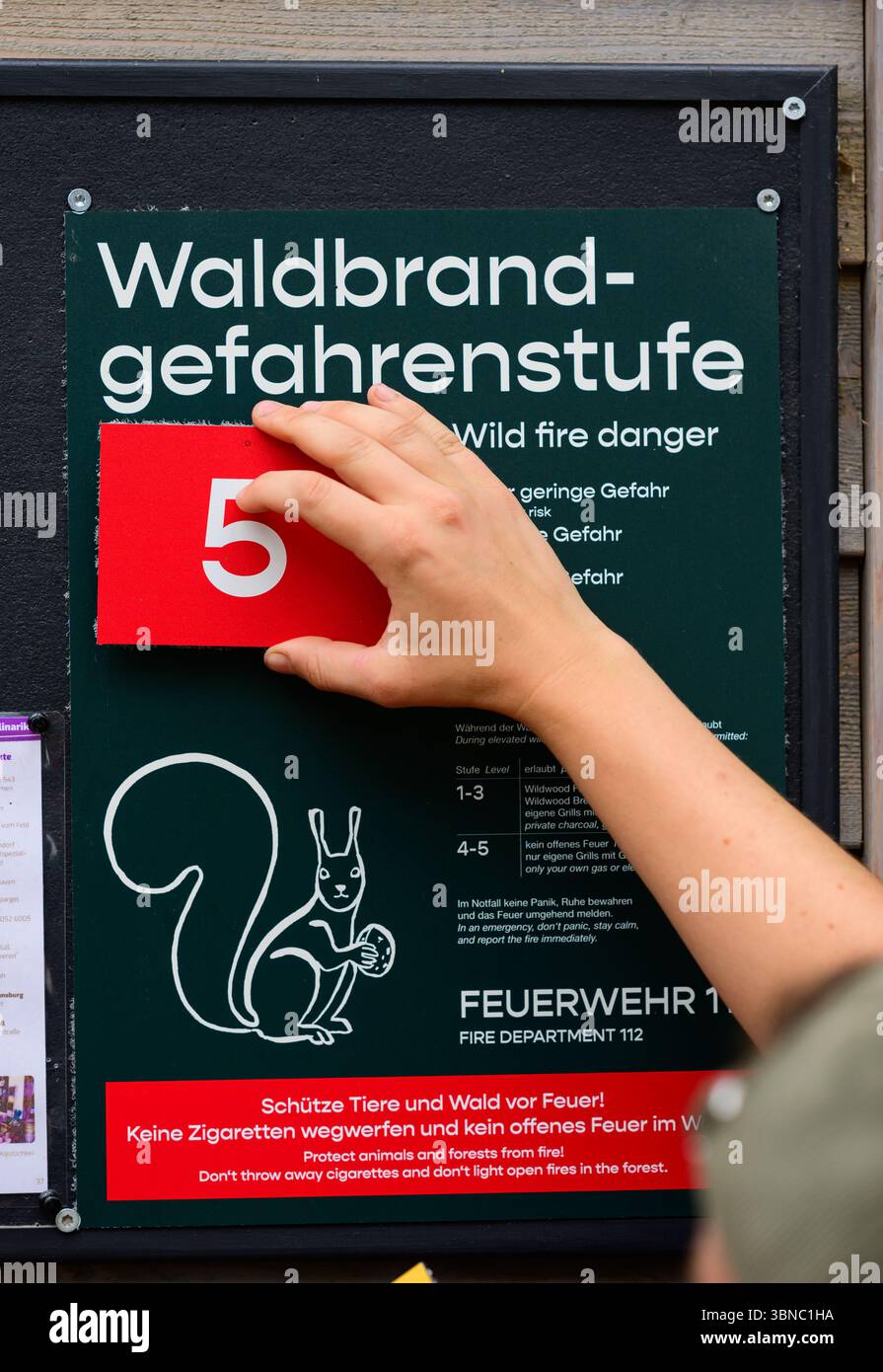 23 June 2025, Lower Saxony, Südheide: "Forest fire danger level 5" is ...