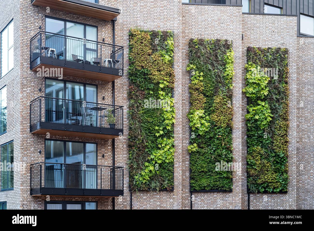 Green planted wall to encourage clean air - modern architecture - in a new development in Tunbridge Wells in Kent, UK Stock Photo
