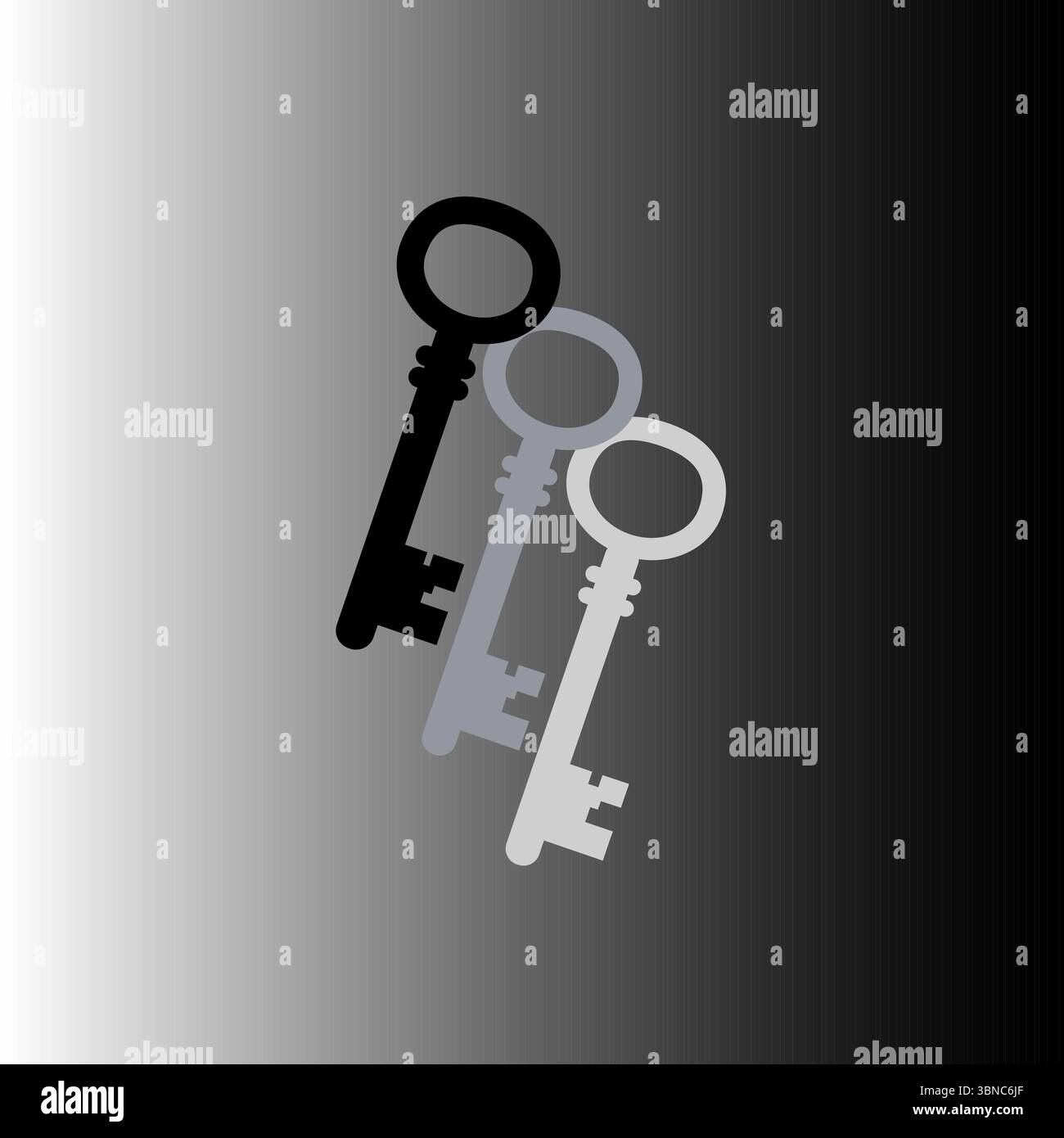 Two keys illustration. Security access symbol. Metallic object pair. Protection solution Vector. Stock Vector