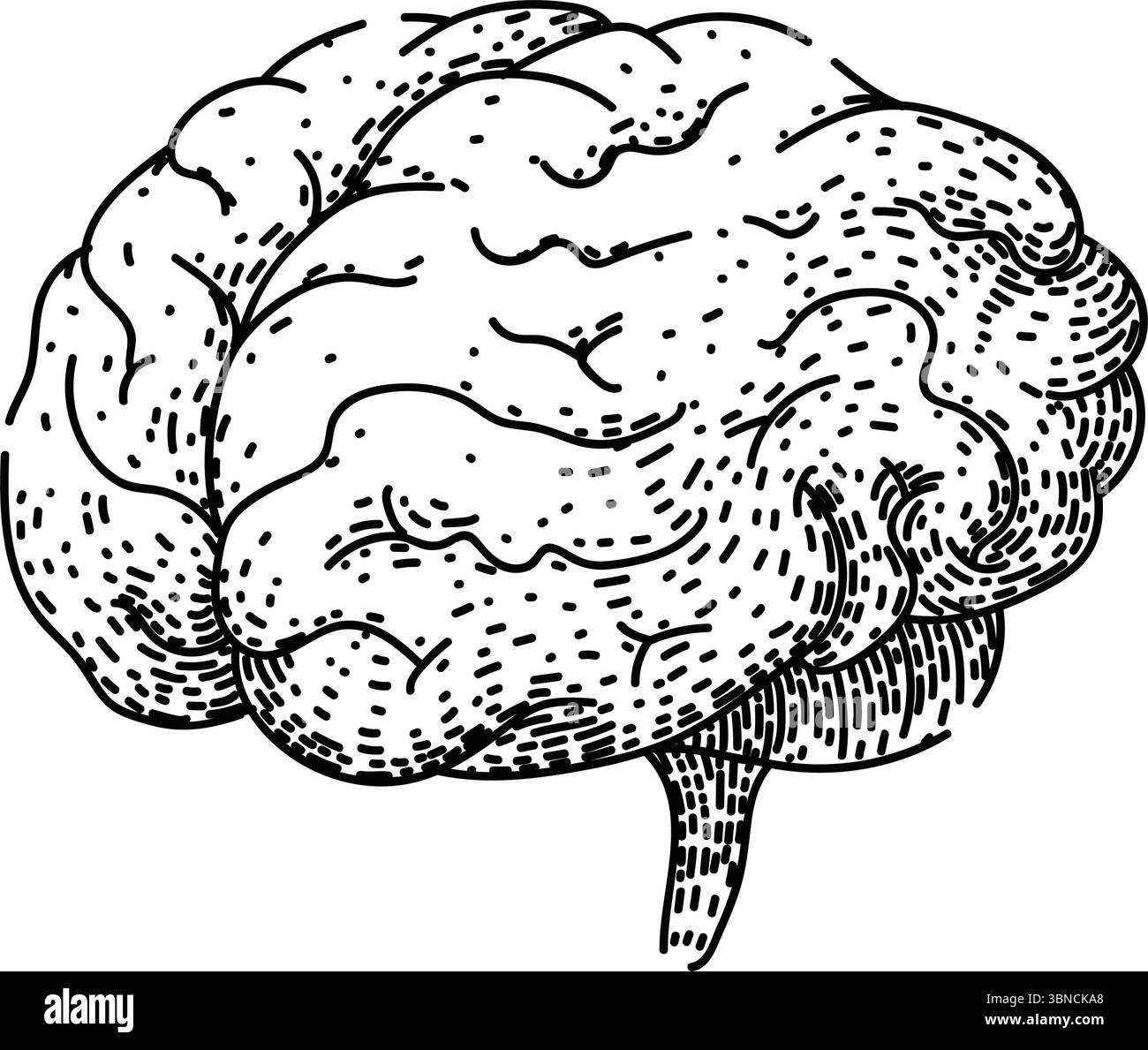 memory brain sketch hand drawn vector Stock Vector Image & Art - Alamy