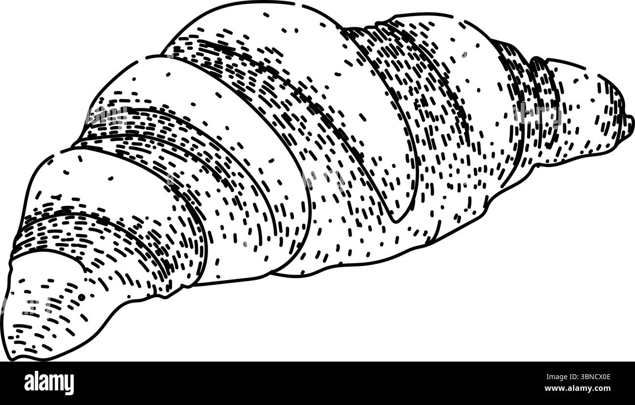 flaky croissant sketch hand drawn vector Stock Vector Image & Art - Alamy