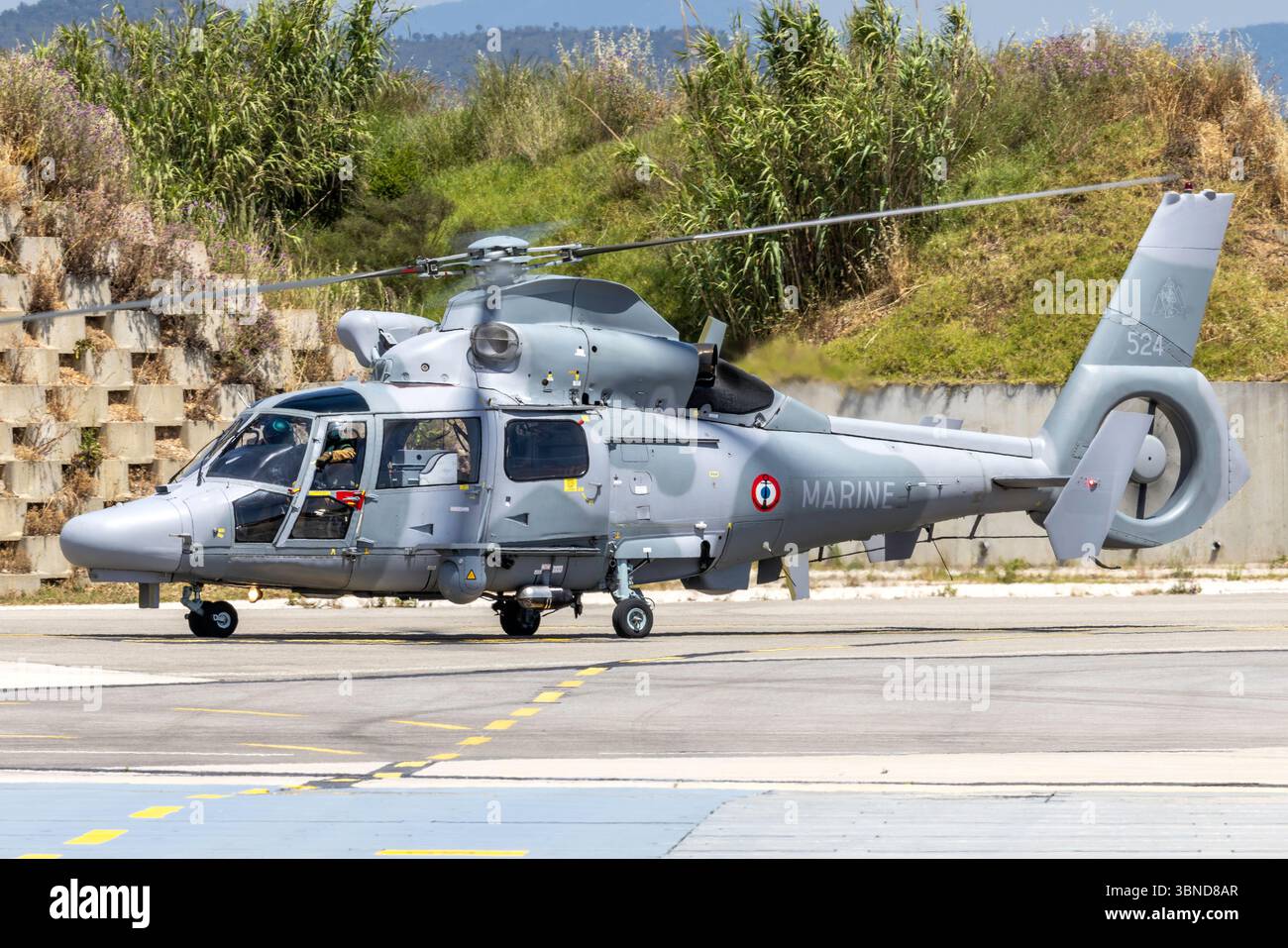 As565 Ab Navy panther hi-res stock photography and images - Alamy