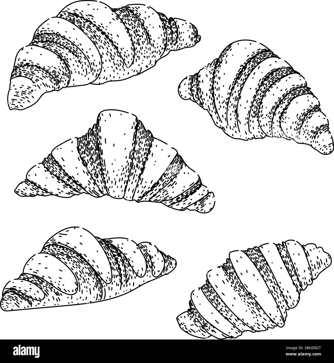 croissant set sketch hand drawn vector Stock Vector Image & Art - Alamy