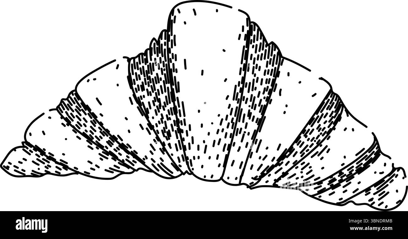 butter croissant sketch hand drawn vector Stock Vector Image & Art - Alamy