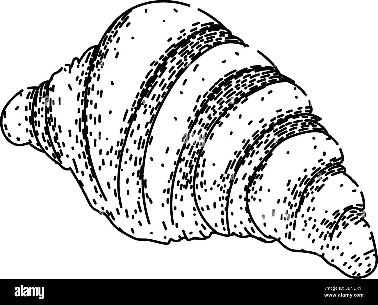 delicious croissant sketch hand drawn vector Stock Vector Image & Art ...