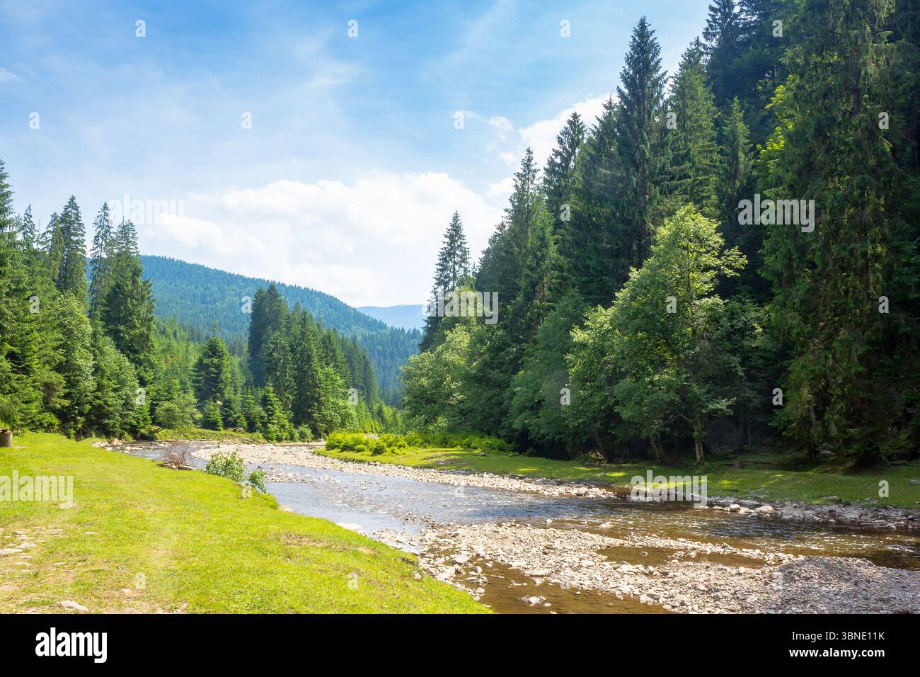 mountainous landscape of ukraine with tereblya river. forest on the hill along the grassy shore. scenery beneath a blue sky with clouds on a sunny day Stock Photo
